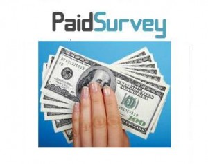 online surveys for money