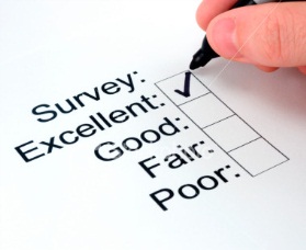 How Paid Surveys Work
